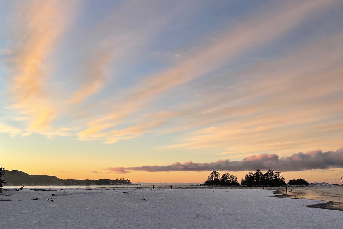 Experience Tofino's Coastal Bliss with Neso