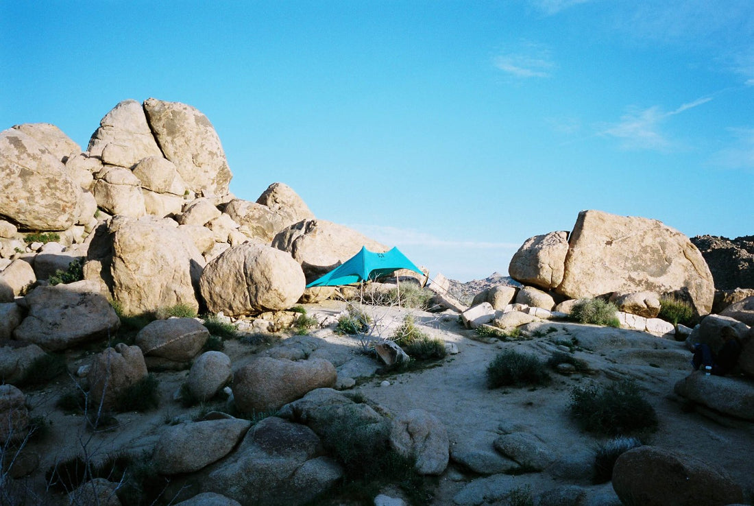 Joshua Tree